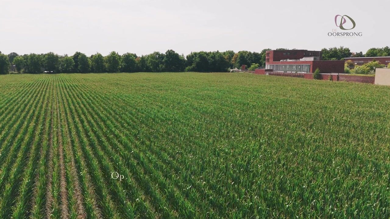 Video of De Oorsprong (Bouwnr. 25)