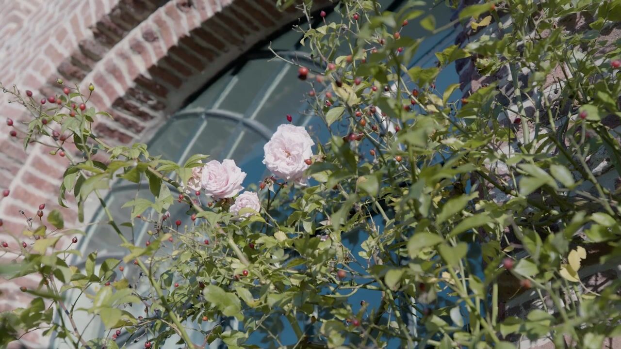 Video of Molenweg 13