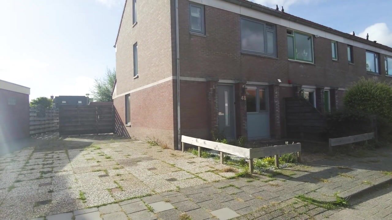 Video van Koekoeksbloem 48