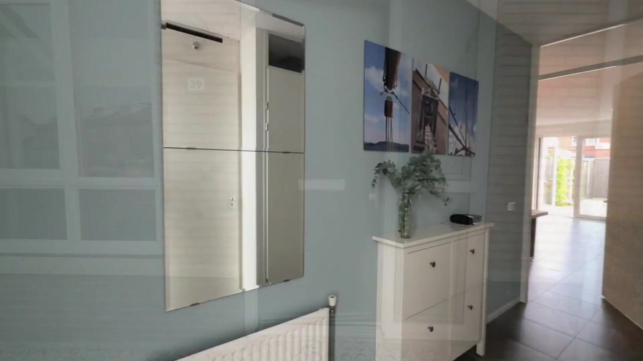 Video van Meerval 39