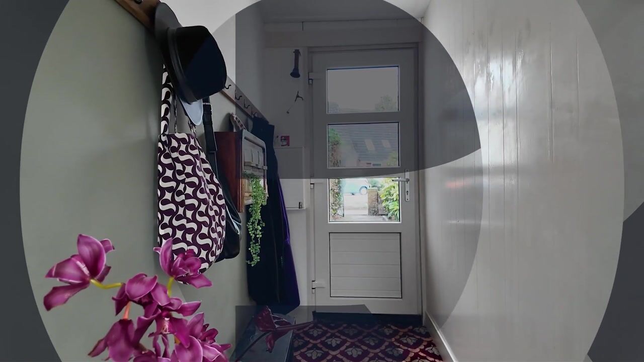 Video van Noorderstraat 65