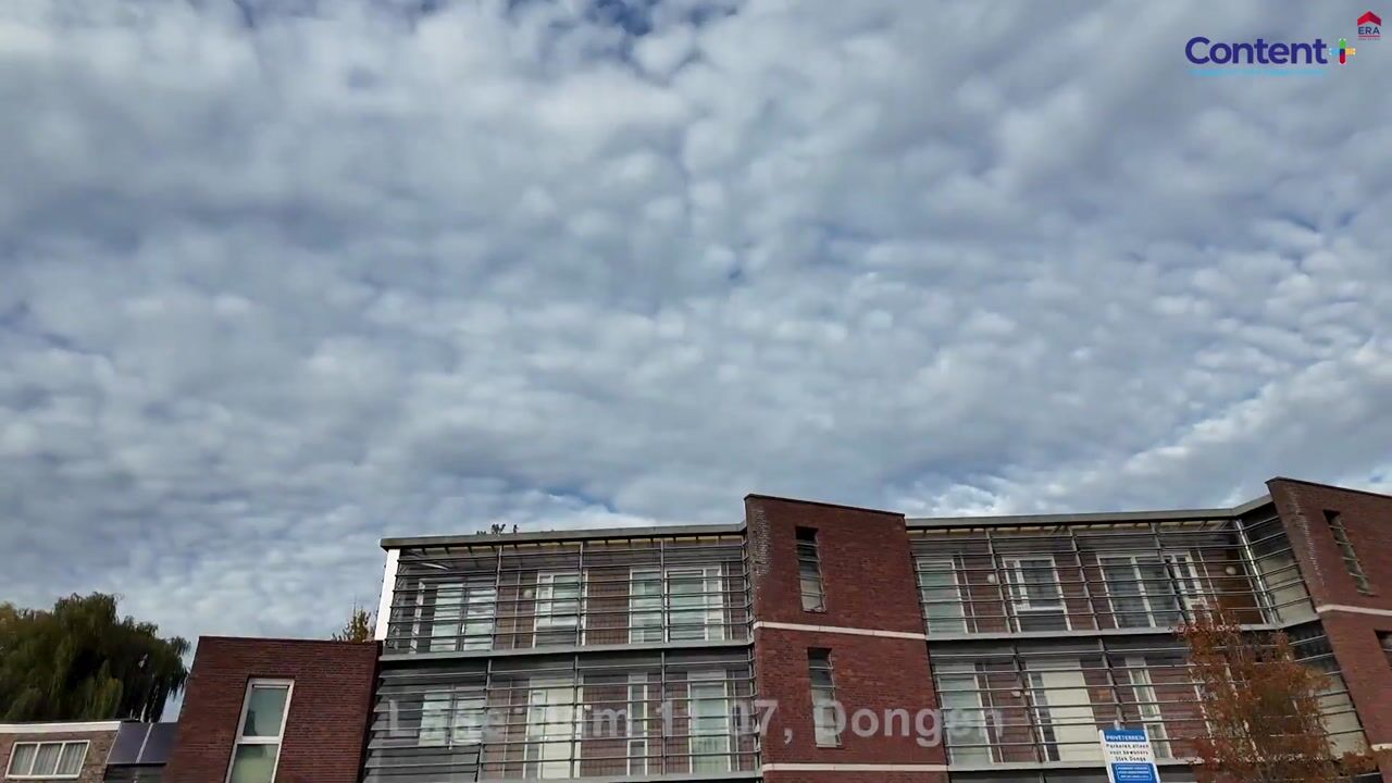 Video of Lage Ham 11-07