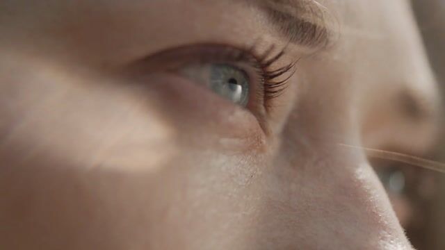 View video of De Brandmeesters