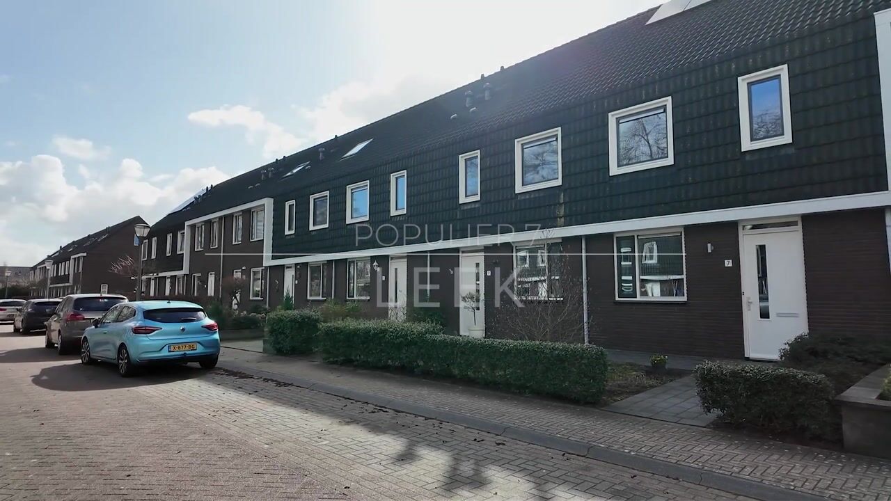 Video van Populier 7