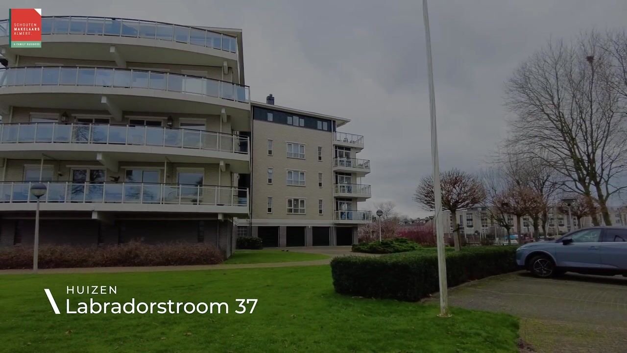 Video of Labradorstroom 37