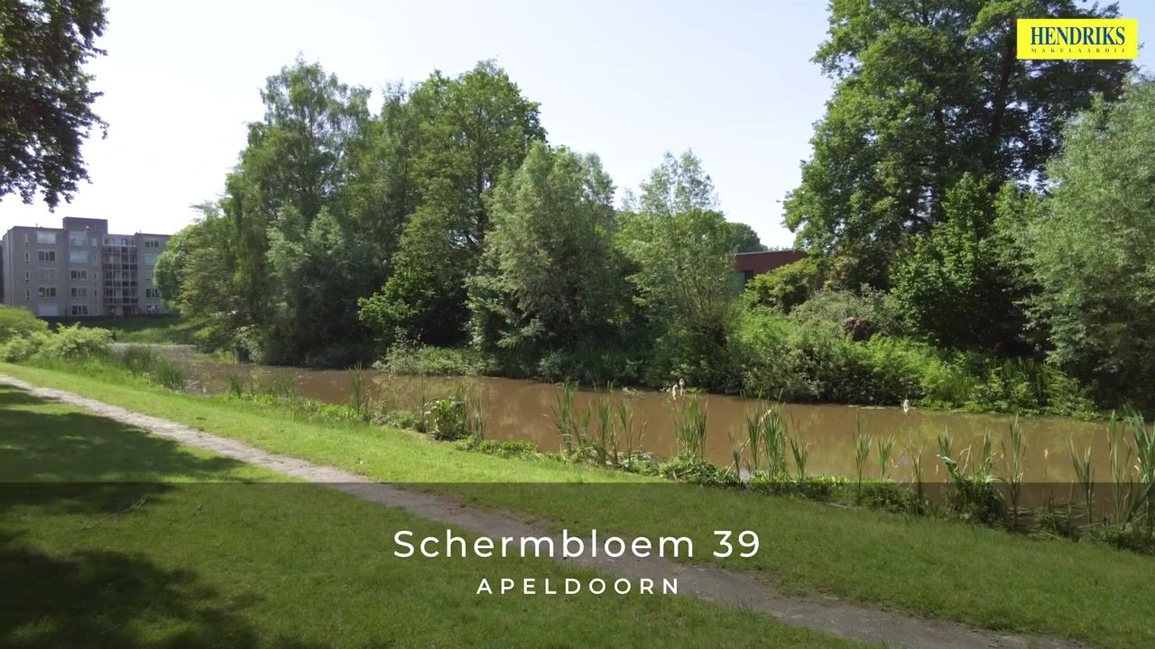 Video of Schermbloem 39