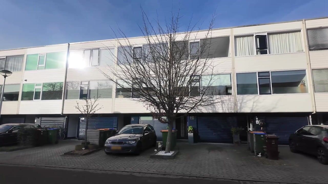 Video of Koelhorst 31