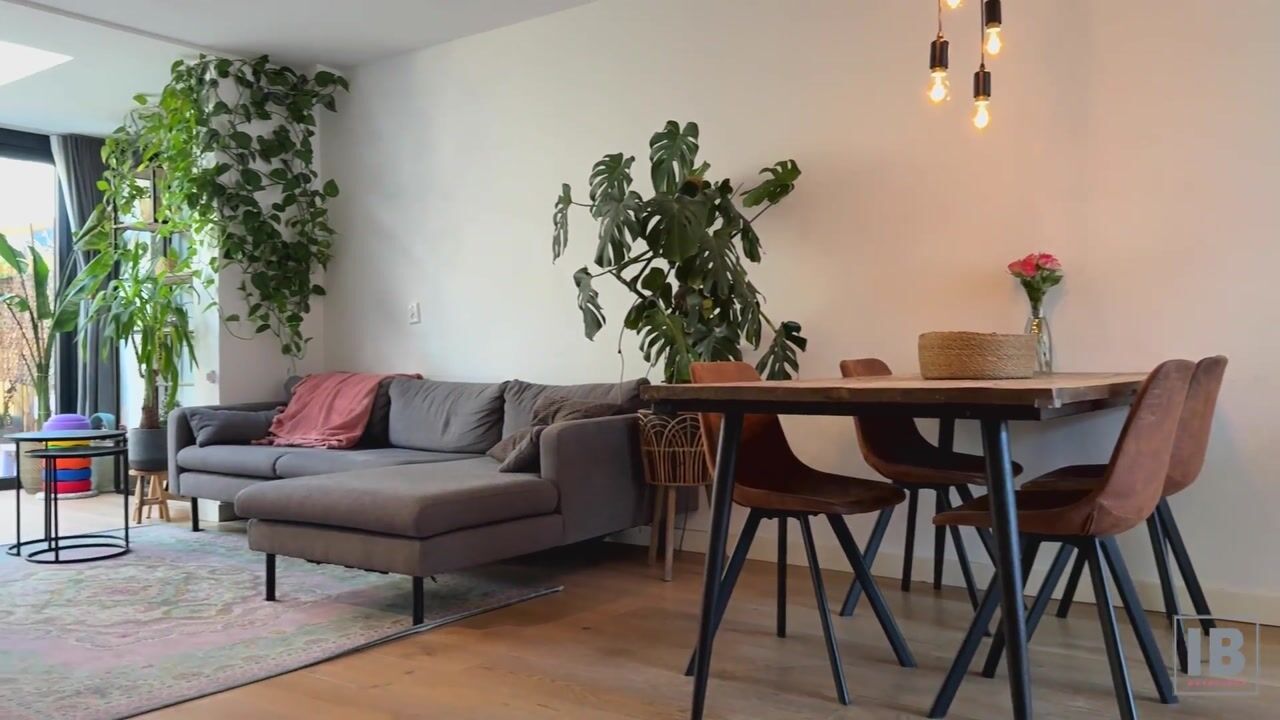 Video van Pijlkruid 17