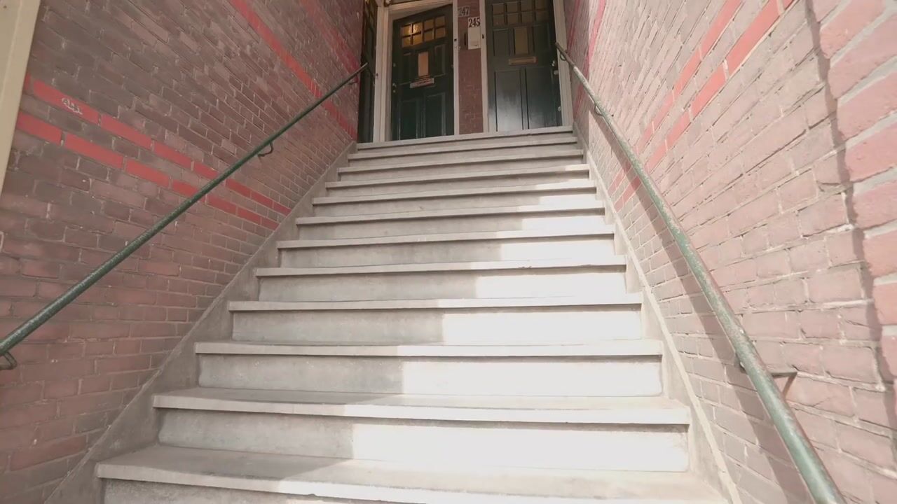 Video of Valkenboslaan 247