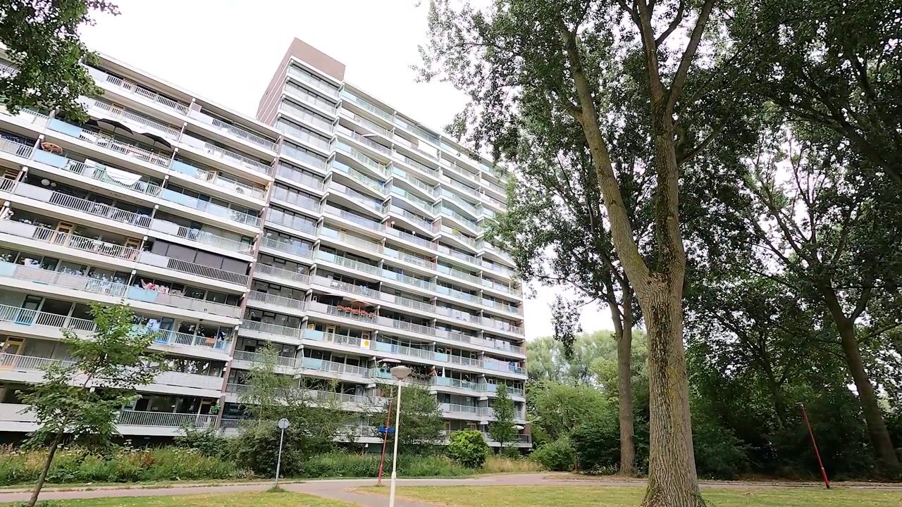 Video van Belvédèrebos 15