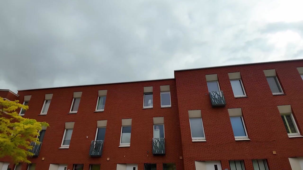 Video van Sint Pieterspark 13