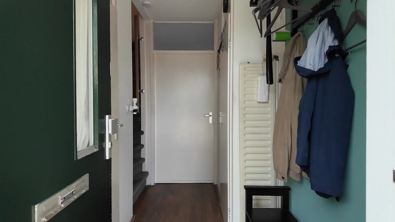 Video van van Ruysdaellaan 123