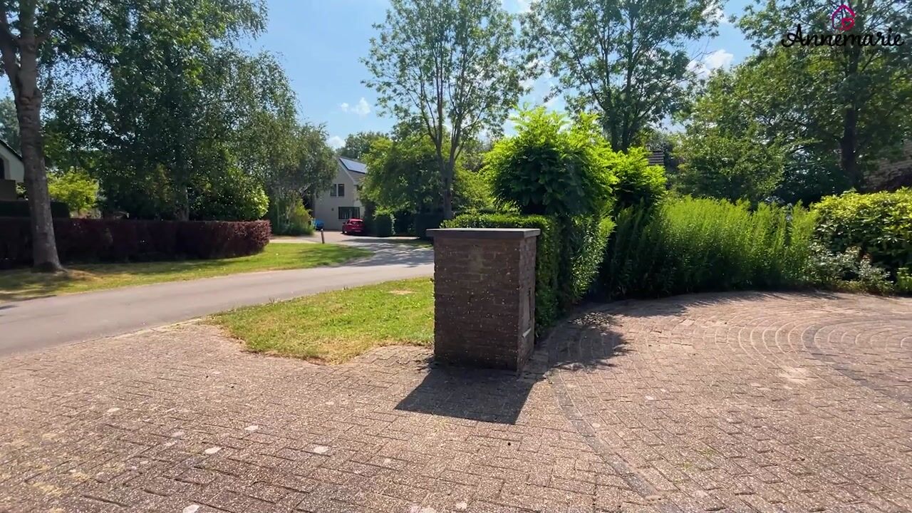 Video van Stern 22