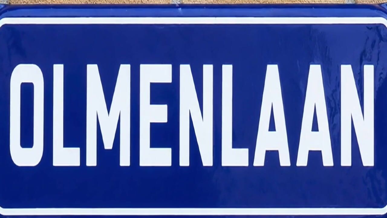 Video van Olmenlaan 30