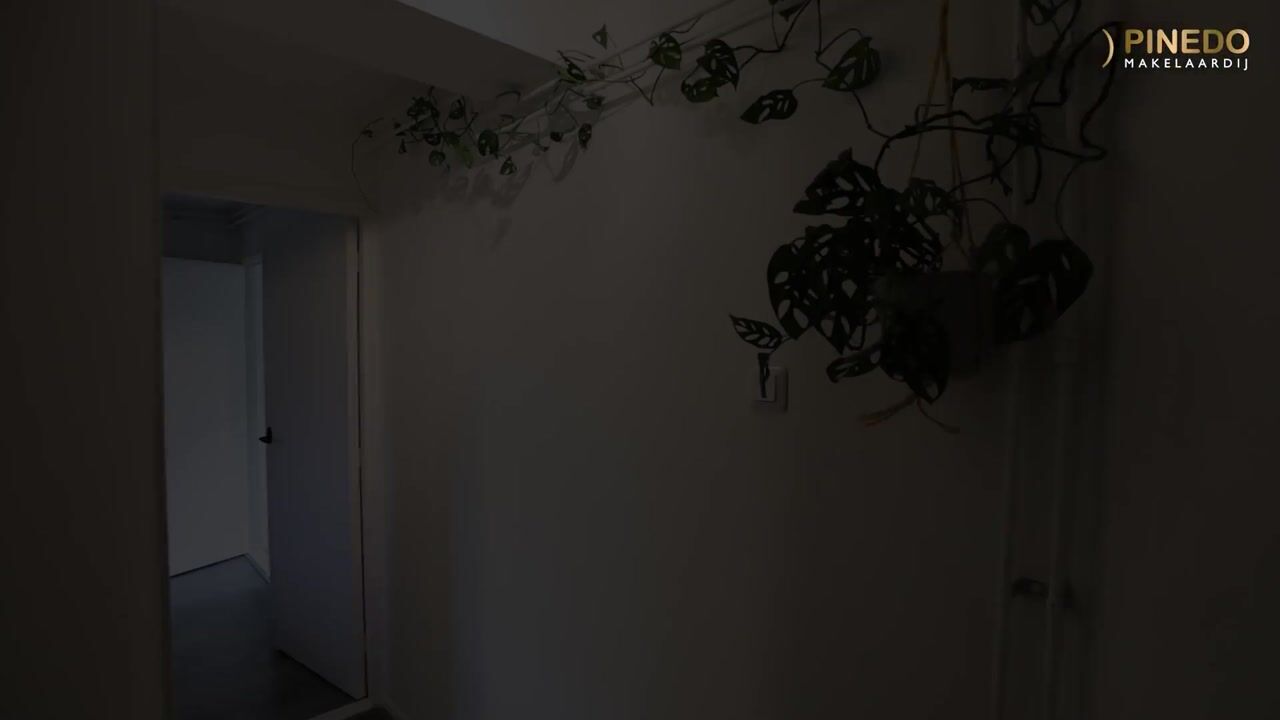 Video van Hobbemalaan 19