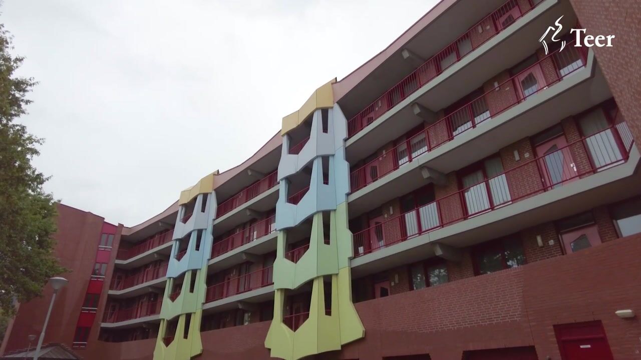 Video van Suykers acker 41