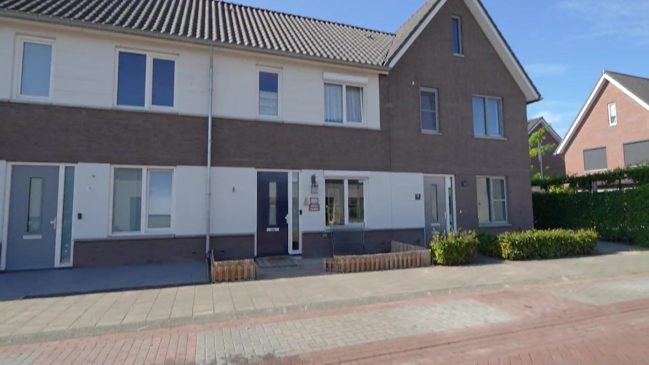 Video of Paardebloem 12