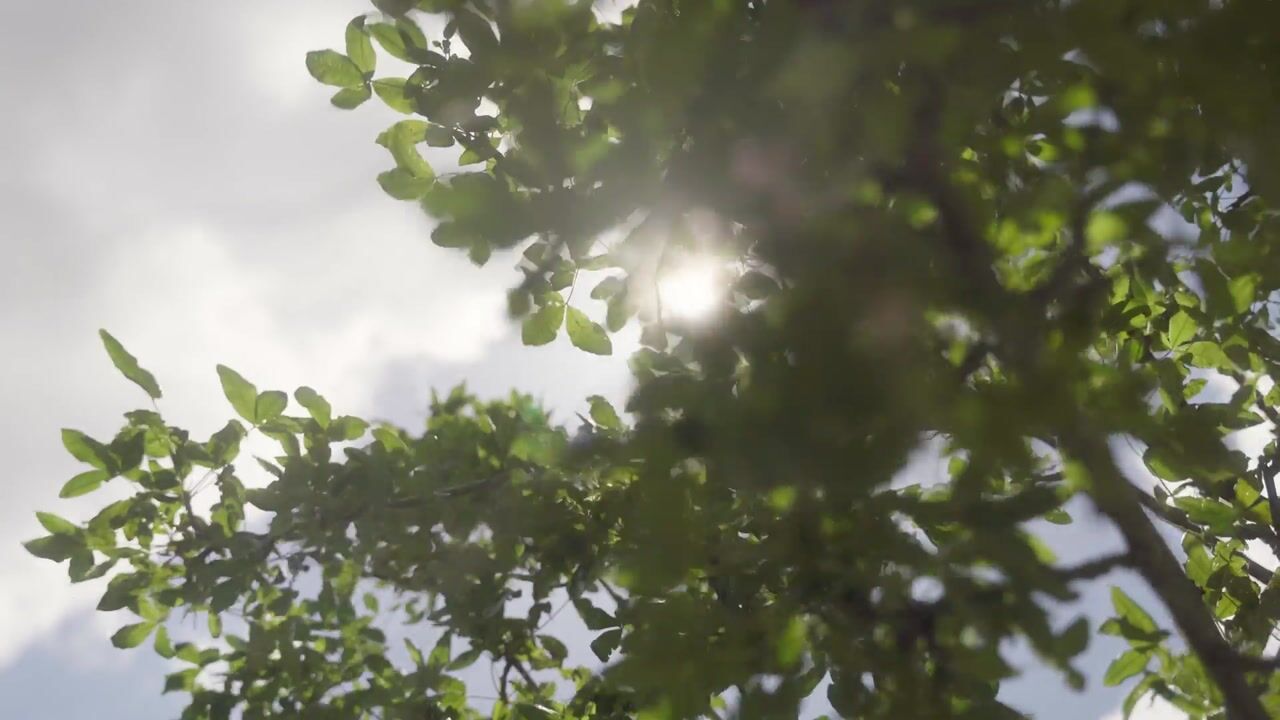 Bekijk video van Bennebroekerweg 617