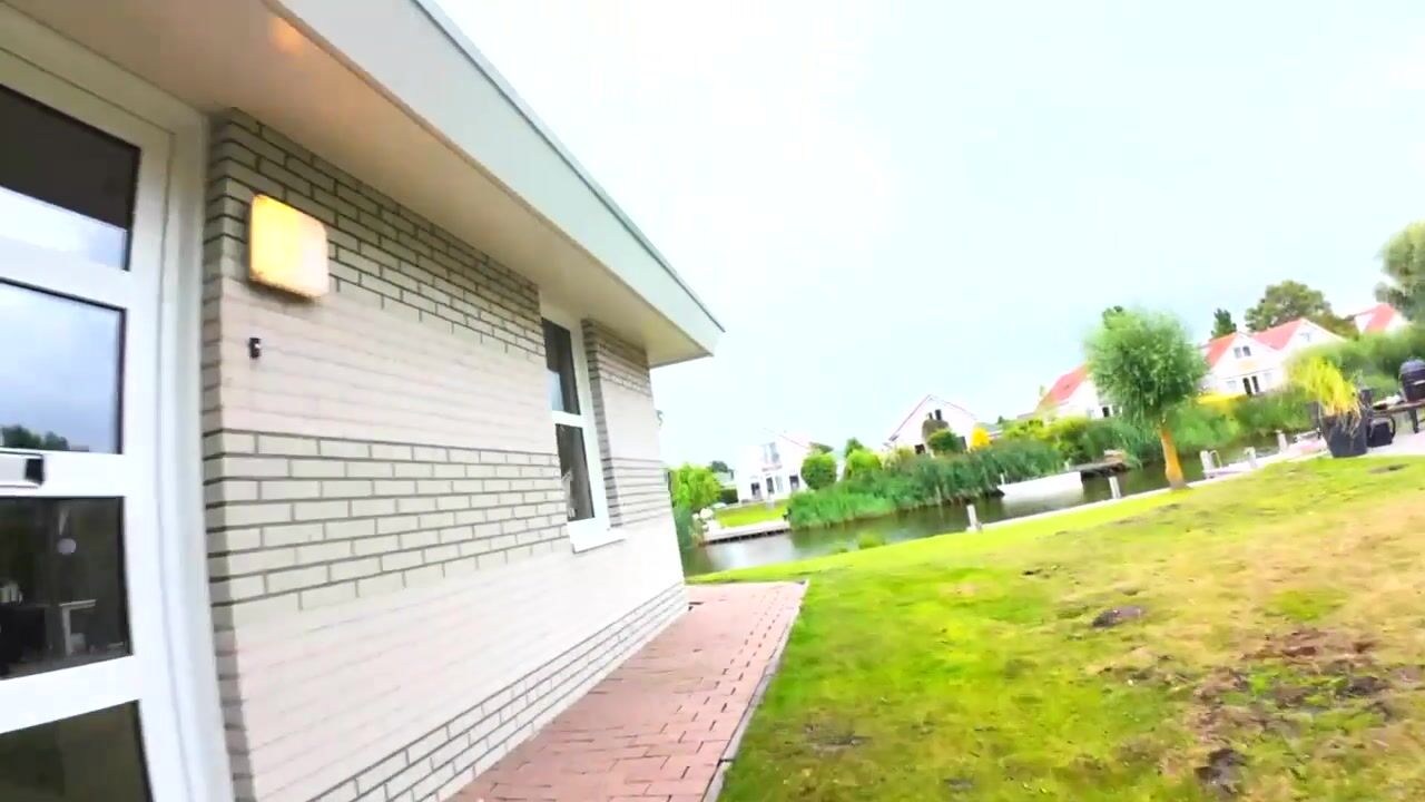 Video van Friesche Vlaak 18