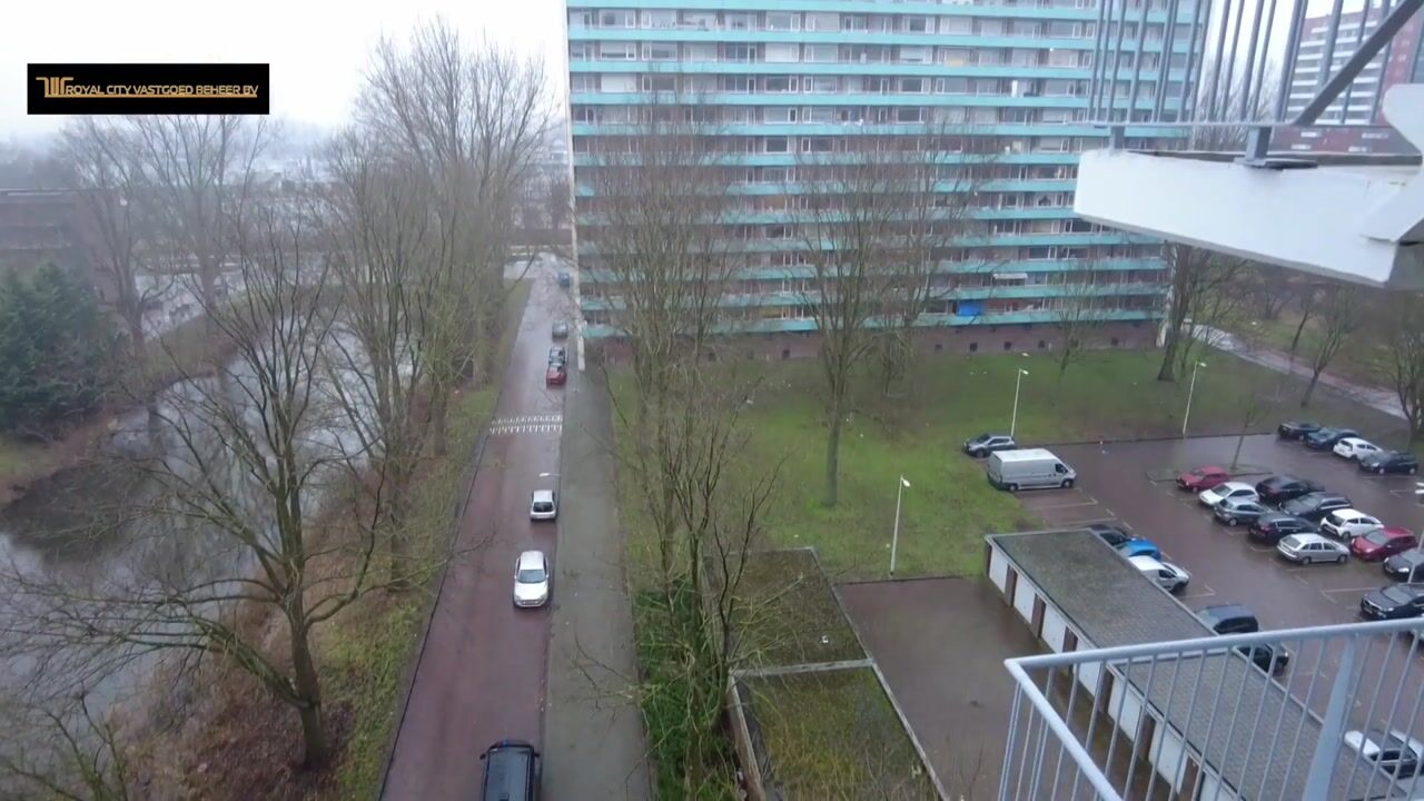 Video van Langswater 739