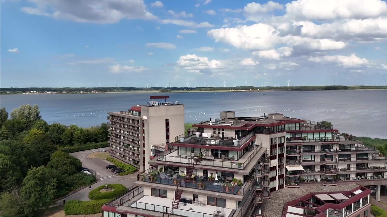 Video van Labradorstroom 157
