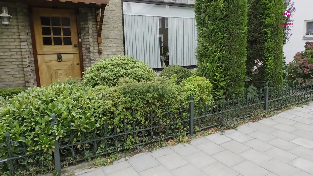 Video van Papenstraat 5