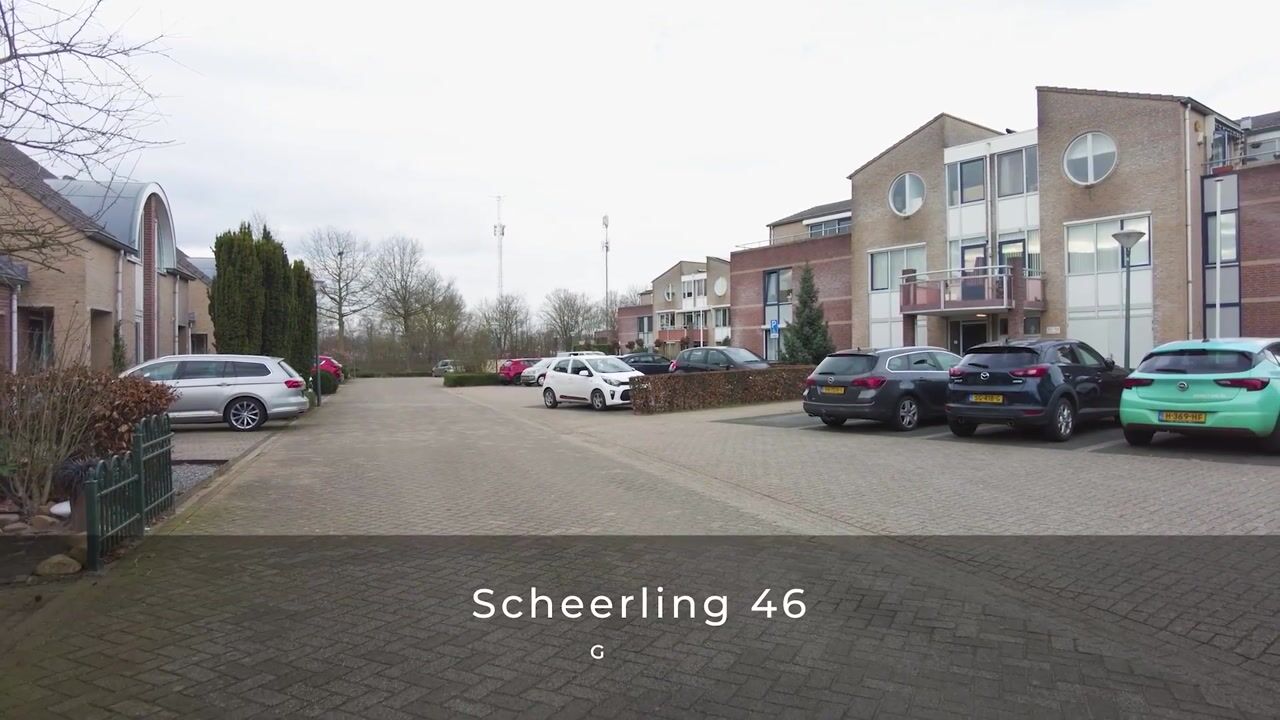Video of Scheerling 46