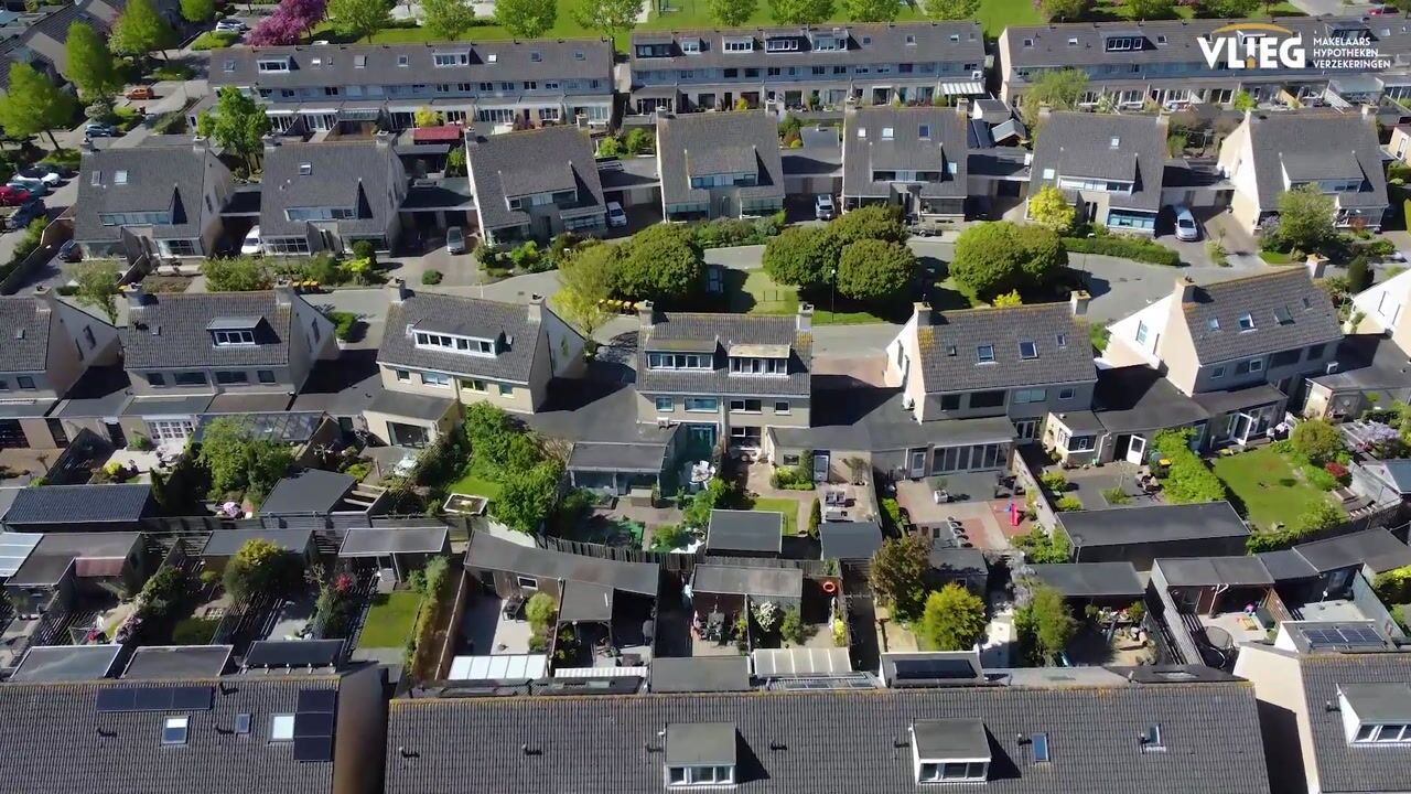 Video van Klokschildpad 16
