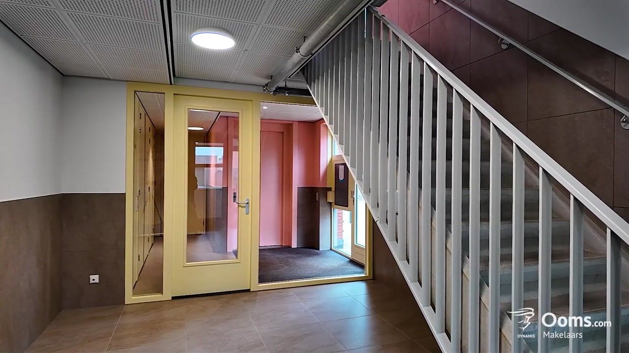 Video of Albertina Sisulupad 212