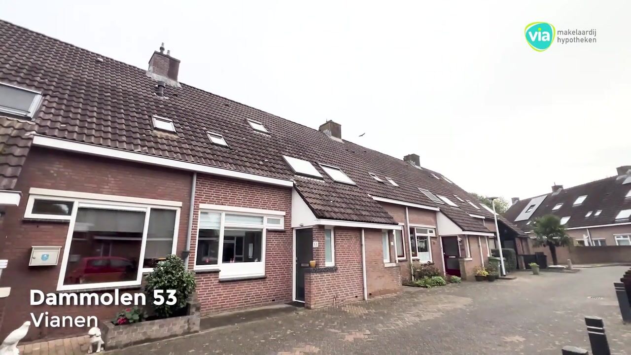 Video van Dammolen 53