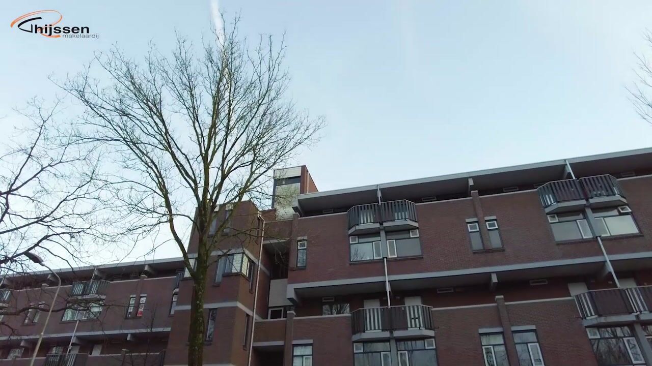 Bekijk video van Hollandsch Diep 241