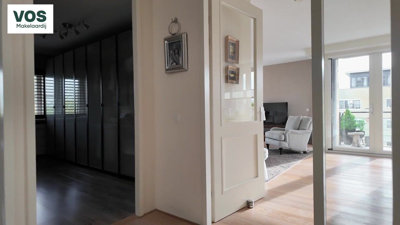 Video of Frans Hals 14