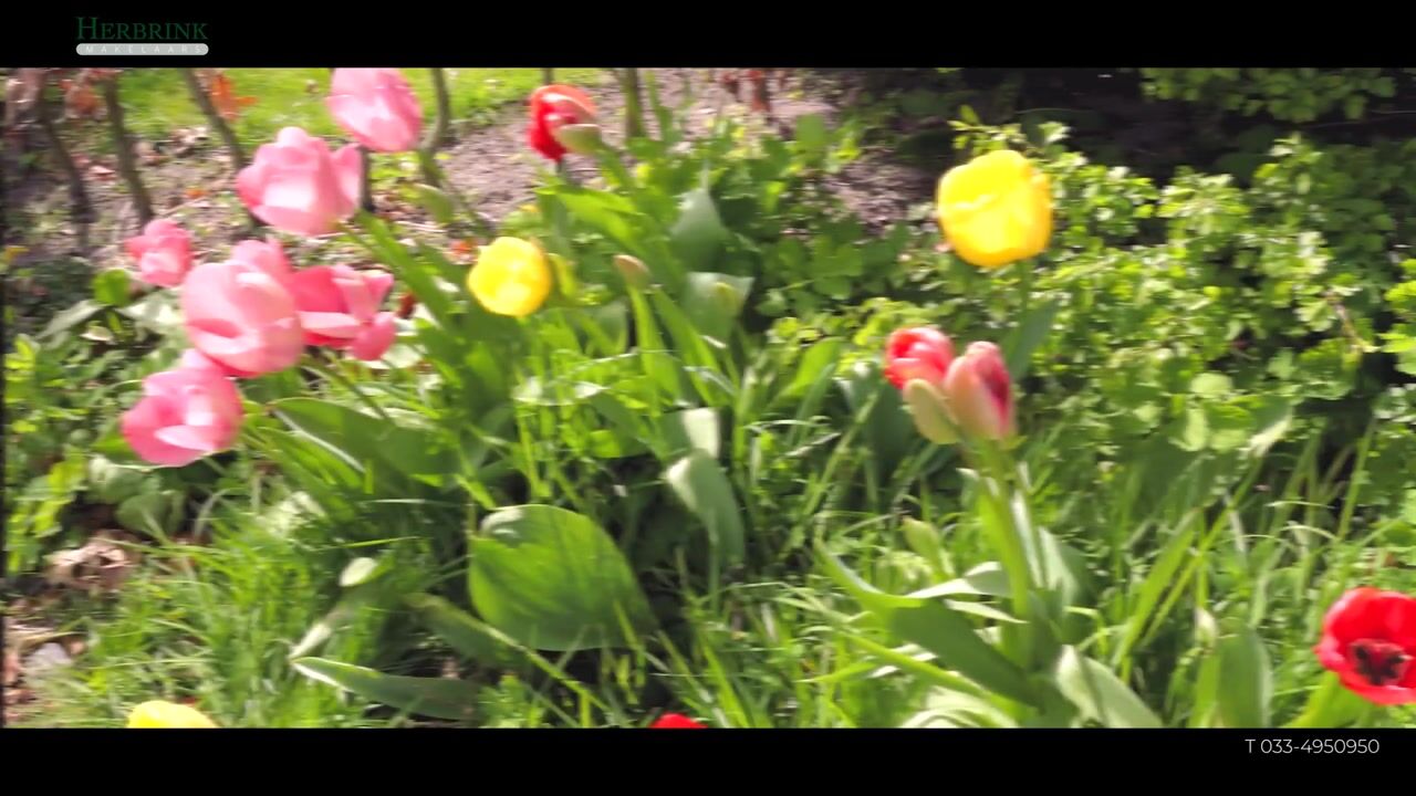 Video van Hondsdraf 73