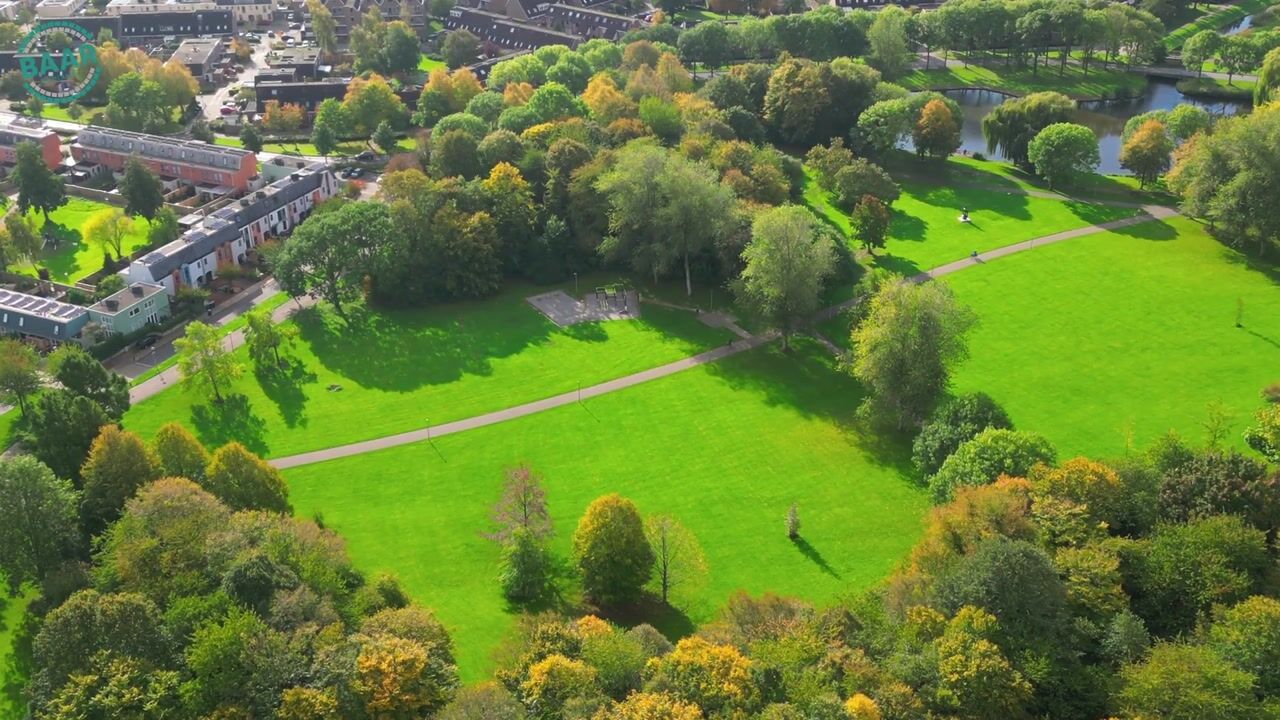 Video of Archipel 15 55