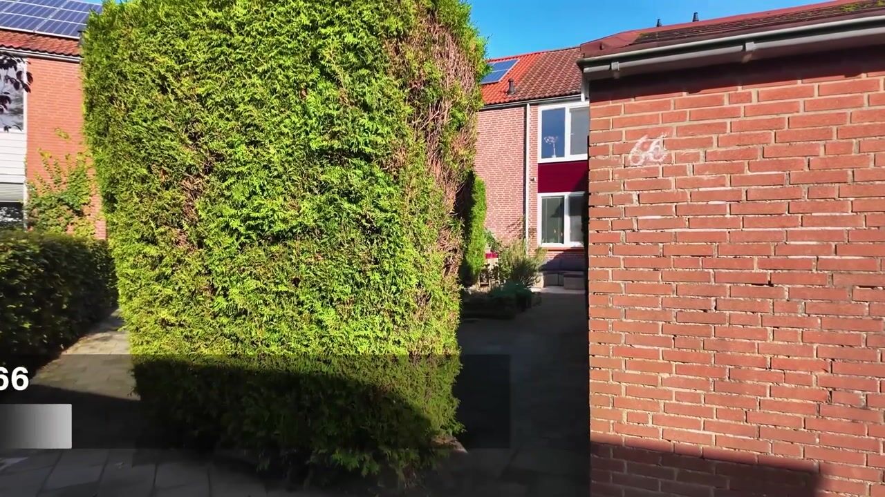 Video van Bekemaheerd 66