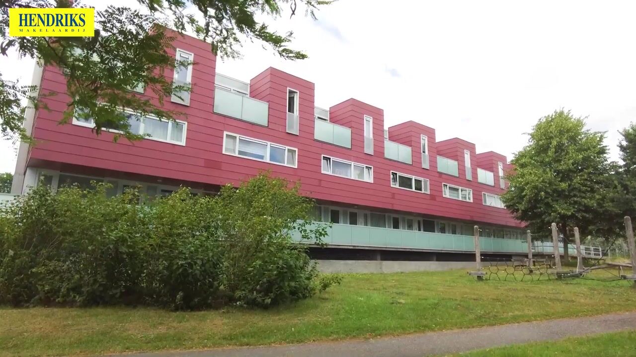 Video of Meerval 102