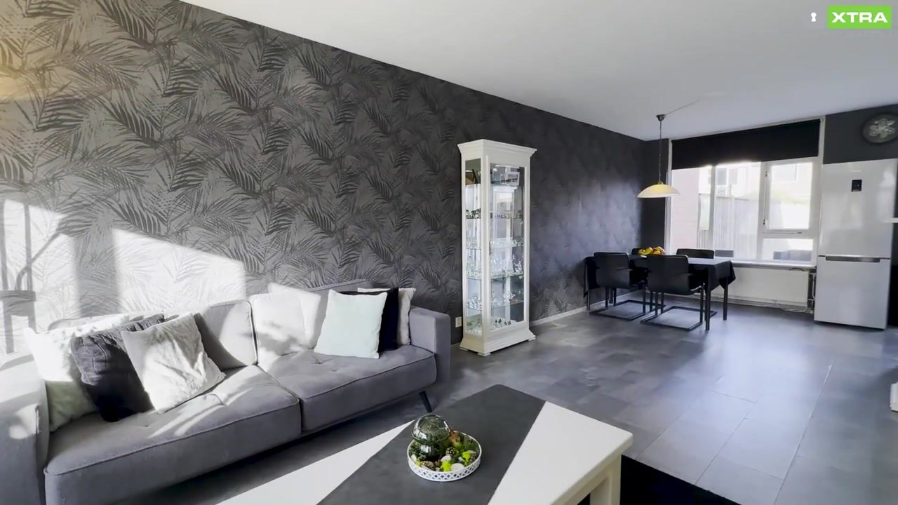 Video of het Want 11