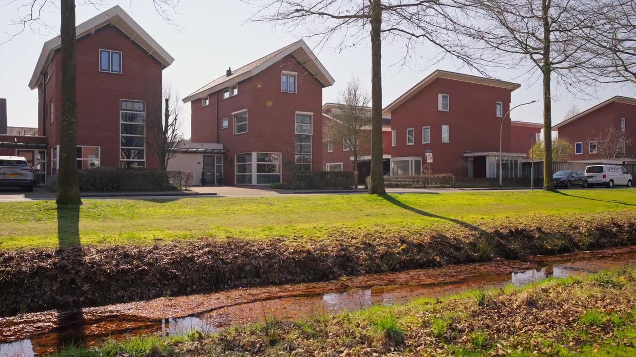 Video van Bassin 1