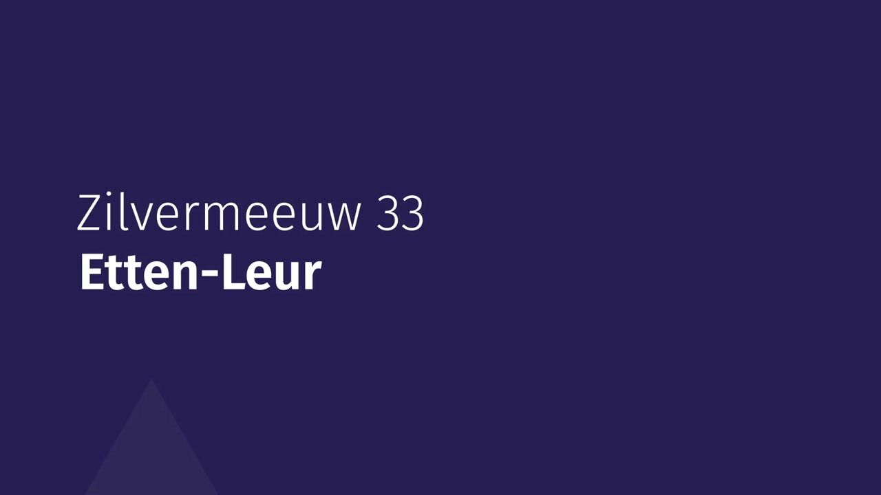 Video van Zilvermeeuw 33