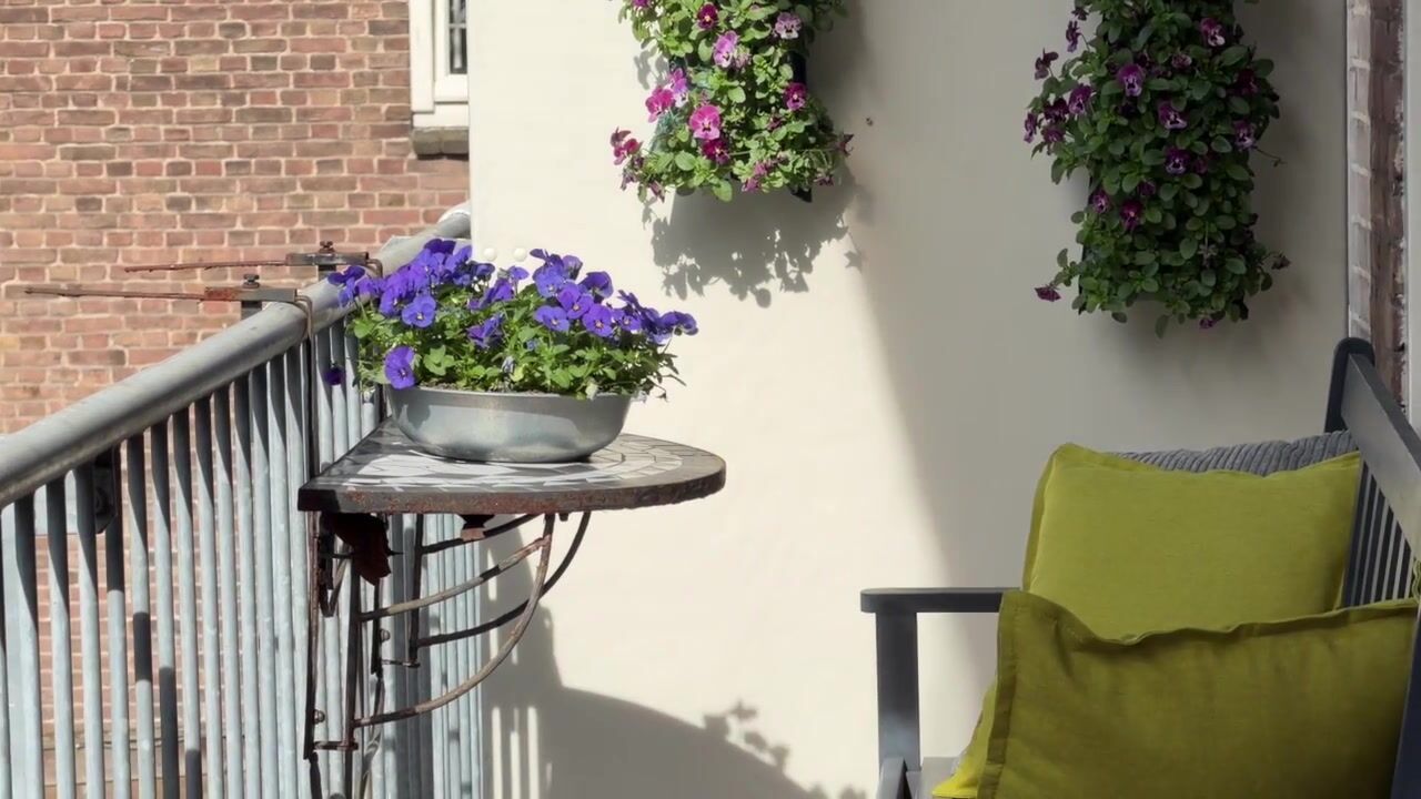 Video van Olympiaweg 72-1