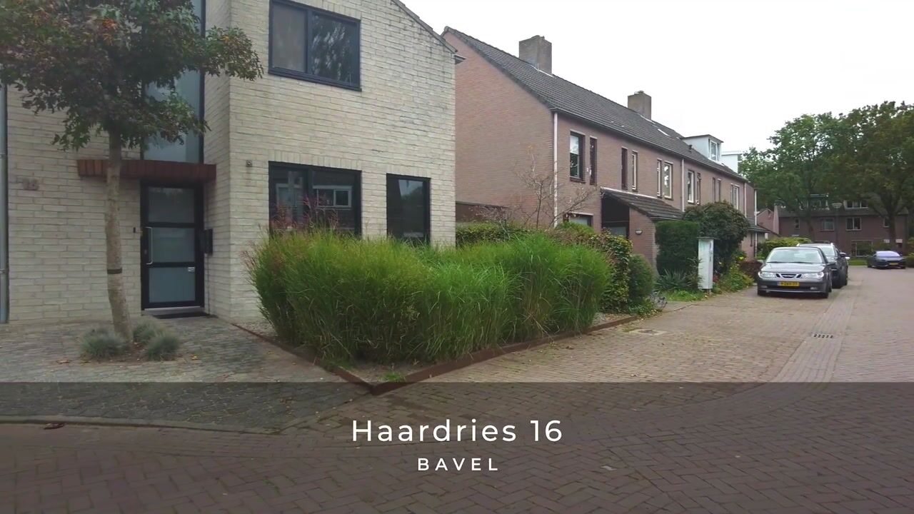 Video of Haardries 16