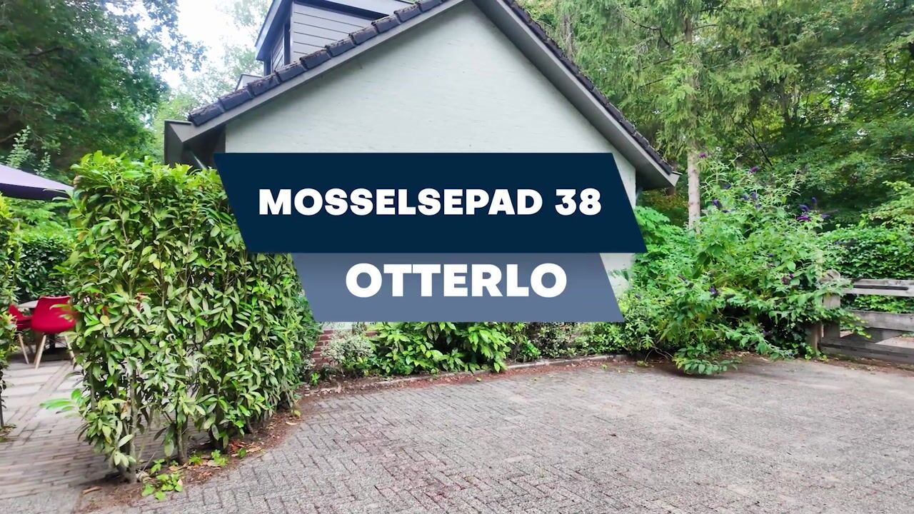 Video van Mosselsepad 38