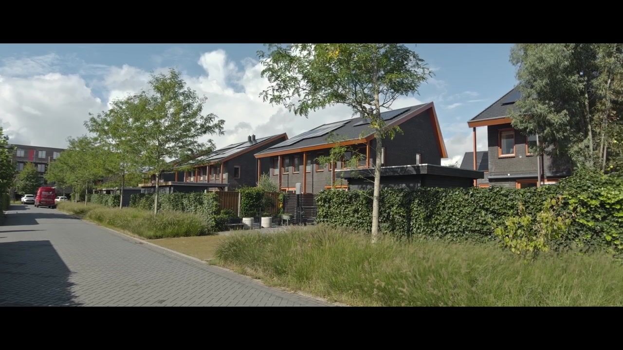 Video van Korte Venen 6