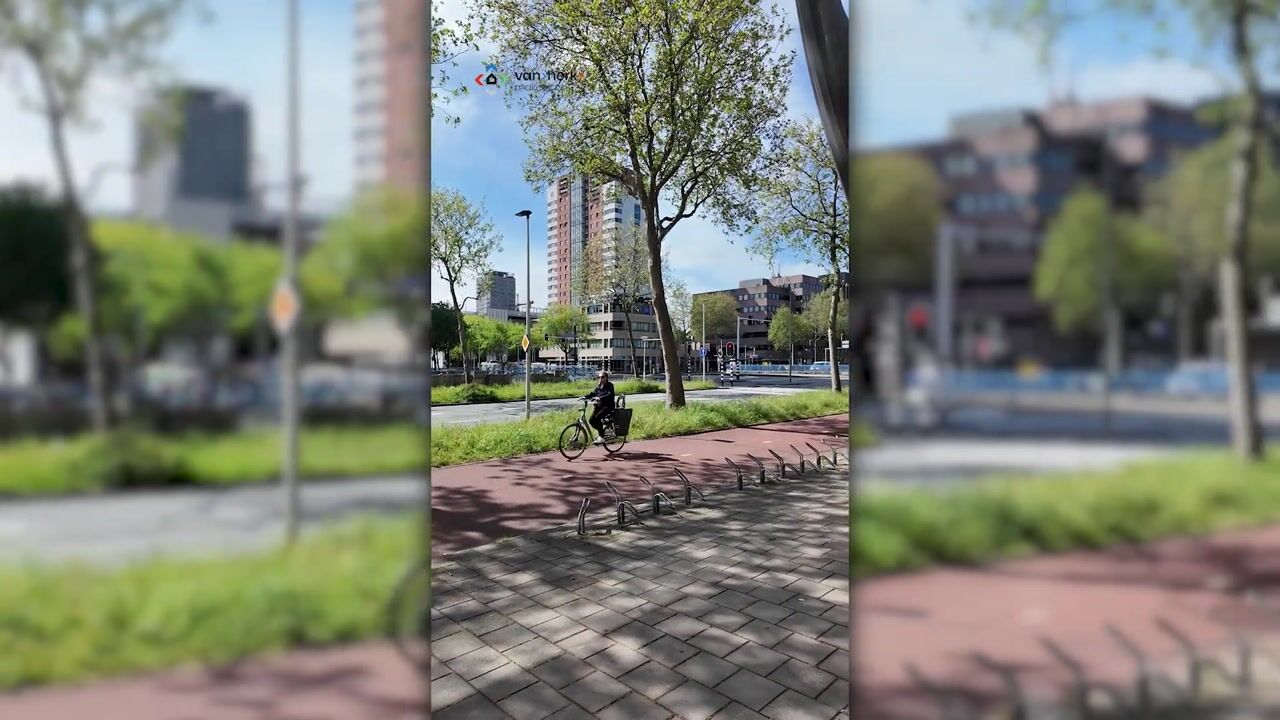 Video van Europaweg 50