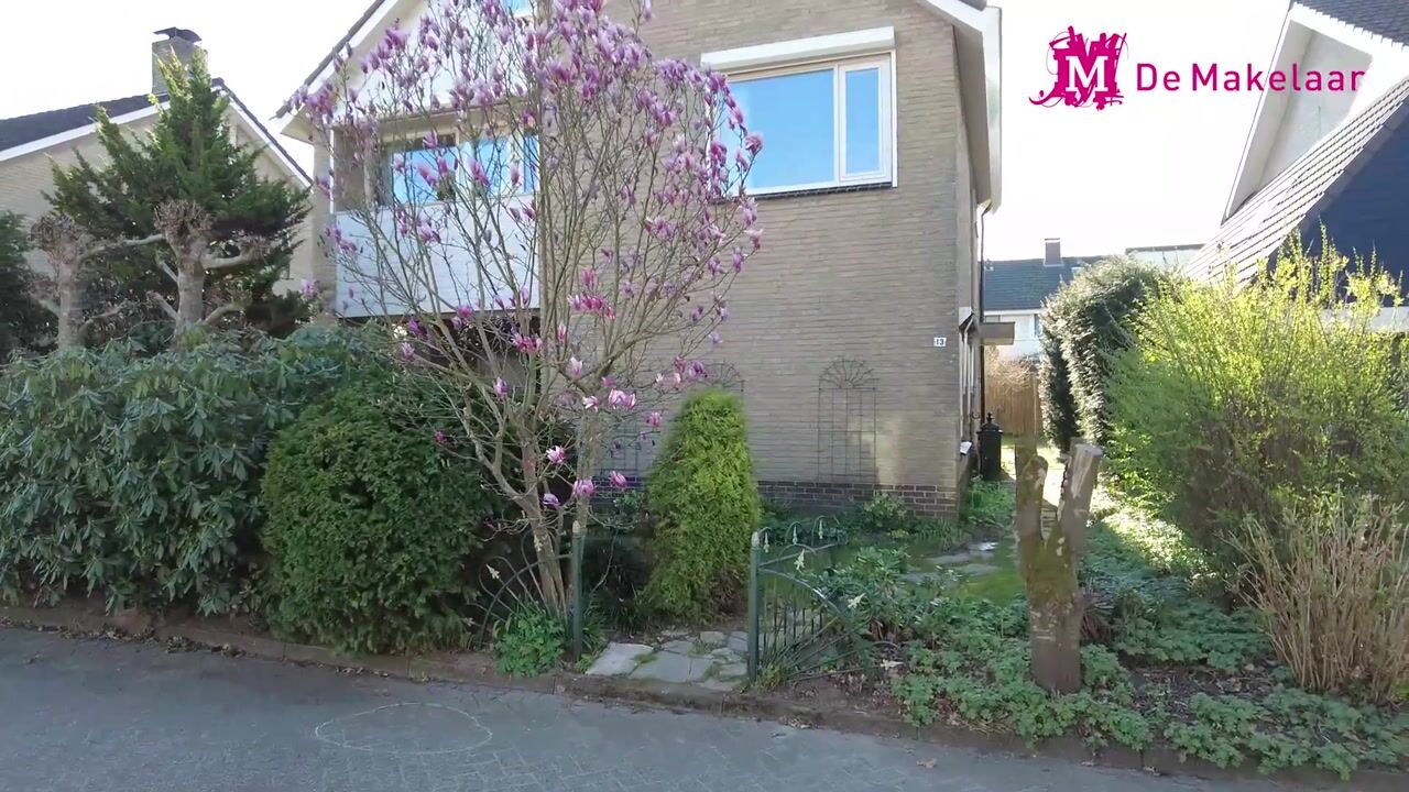 Video van Het Saalkinck 13