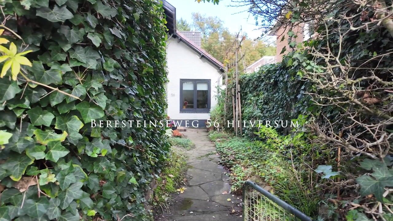 Video van Beresteinseweg 56