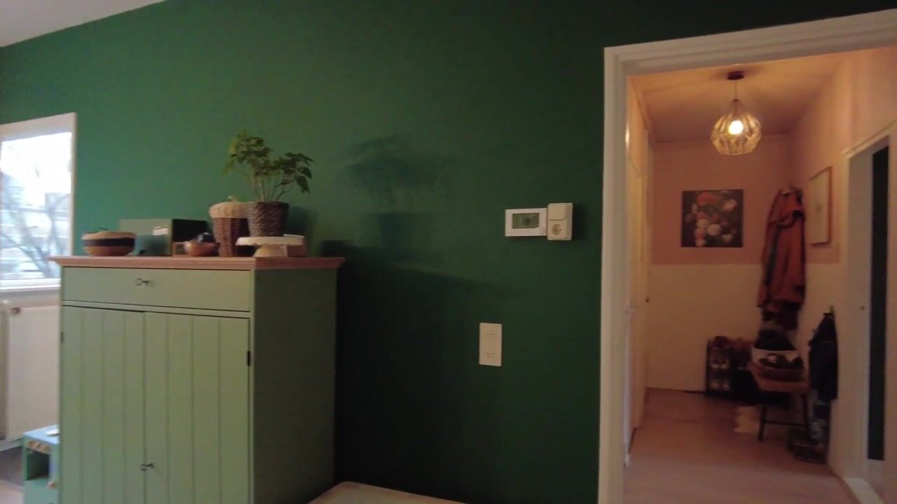 Video van Hora Siccamasingel 89