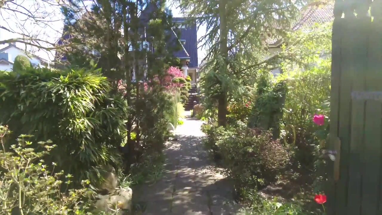 Video van Burgemeester van Liebergenstraat 16
