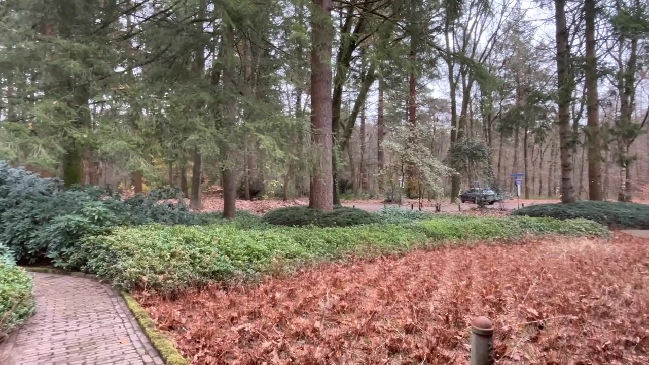 Video van Julianalaan 13