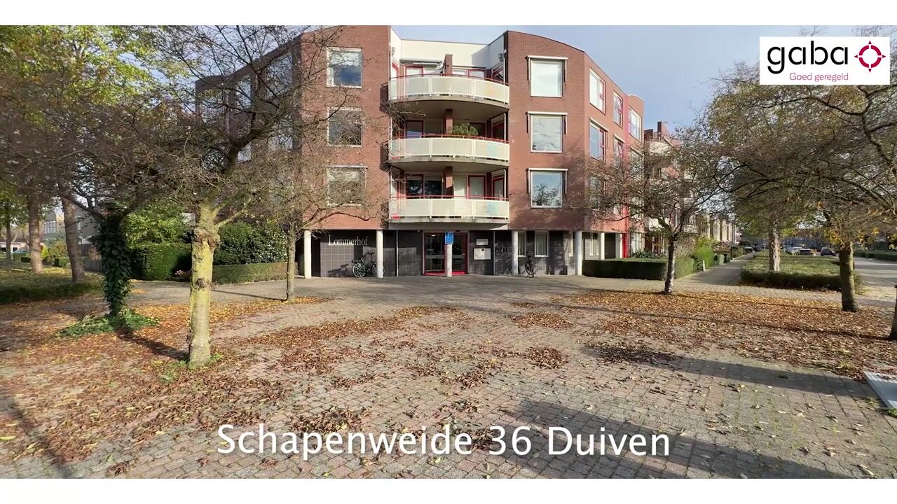 Video of Schapenweide 36